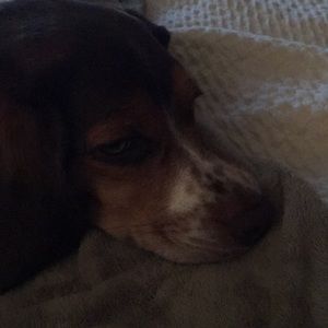 Meet your Posher, Randall